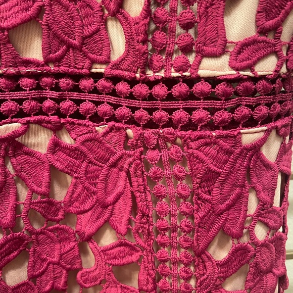 Lulu's Fuchsia Crochet Lace Dress with Nude Lining - Picture 5 of 7